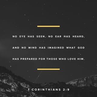 1 Corinthians 2:9 - This is why the Scriptures say:
Things never discovered or heard of before,
things beyond our ability to imagine —
these are the many things God has in store
for all his lovers.