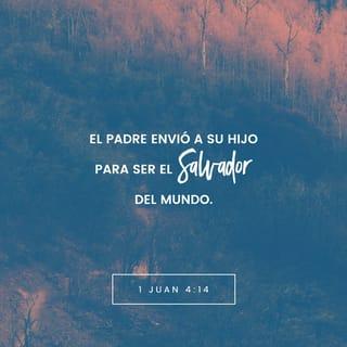 1 Juan 4:14-15 - Nosotros mismos lo hemos visto, y lo decimos sin miedo: el Padre envió a su Hijo para salvar a todo el mundo. Si alguien reconoce que Jesucristo es el Hijo de Dios, queda íntimamente unido a Dios, como si fuera una sola persona con él.