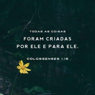 Colossenses 1:15-23 - Este é a imagem do Deus invisível, o primogênito de toda a criação; pois, nele, foram criadas todas as coisas, nos céus e sobre a terra, as visíveis e as invisíveis, sejam tronos, sejam soberanias, quer principados, quer potestades. Tudo foi criado por meio dele e para ele. Ele é antes de todas as coisas. Nele, tudo subsiste. Ele é a cabeça do corpo, da igreja. Ele é o princípio, o primogênito de entre os mortos, para em todas as coisas ter a primazia, porque aprouve a Deus que, nele, residisse toda a plenitude e que, havendo feito a paz pelo sangue da sua cruz, por meio dele, reconciliasse consigo mesmo todas as coisas, quer sobre a terra, quer nos céus. E a vós outros também que, outrora, éreis estranhos e inimigos no entendimento pelas vossas obras malignas, agora, porém, vos reconciliou no corpo da sua carne, mediante a sua morte, para apresentar-vos perante ele santos, inculpáveis e irrepreensíveis, se é que permaneceis na fé, alicerçados e firmes, não vos deixando afastar da esperança do evangelho que ouvistes e que foi pregado a toda criatura debaixo do céu, e do qual eu, Paulo, me tornei ministro.