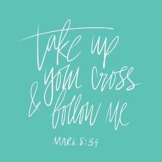 Mark 8:34 - Yesuusi cora asaanne barena kaalliyaawantta barekko xeesiide, <<Taana kaallana koyyiyaa uray de7ooppe, barena kaddo; yaatiide bare masqqaliyaa tookkiide, taana kaallo.