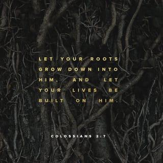 Colossians 2:7 - Your spiritual roots go deeply into his life as you are continually infused with strength, encouraged in every way. For you are established in the faith you have absorbed and enriched by your devotion to him!