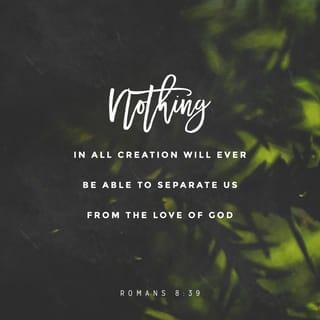 Romans 8:38-39 NCV