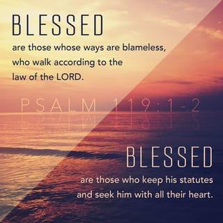 Psalms 119:1-24 - Blessed are they that are perfect in the way,
Who walk in the law of Jehovah.
Blessed are they that keep his testimonies,
That seek him with the whole heart.
Yea, they do no unrighteousness;
They walk in his ways.
Thou hast commanded us thy precepts,
That we should observe them diligently.
Oh that my ways were established
To observe thy statutes!
Then shall I not be put to shame,
When I have respect unto all thy commandments.
I will give thanks unto thee with uprightness of heart,
When I learn thy righteous judgments.
I will observe thy statutes:
Oh forsake me not utterly.
ב BETH.
Wherewith shall a young man cleanse his way?
By taking heed thereto according to thy word.
With my whole heart have I sought thee:
Oh let me not wander from thy commandments.
Thy word have I laid up in my heart,
That I might not sin against thee.
Blessed art thou, O Jehovah:
Teach me thy statutes.
With my lips have I declared
All the ordinances of thy mouth.
I have rejoiced in the way of thy testimonies,
As much as in all riches.
I will meditate on thy precepts,
And have respect unto thy ways.
I will delight myself in thy statutes:
I will not forget thy word.
ג GIMEL.
Deal bountifully with thy servant, that I may live;
So will I observe thy word.
Open thou mine eyes, that I may behold
Wondrous things out of thy law.
I am a sojourner in the earth:
Hide not thy commandments from me.
My soul breaketh for the longing
That it hath unto thine ordinances at all times.
Thou hast rebuked the proud that are cursed,
That do wander from thy commandments.
Take away from me reproach and contempt;
For I have kept thy testimonies.
Princes also sat and talked against me;
But thy servant did meditate on thy statutes.
Thy testimonies also are my delight
And my counsellors.
ד DALETH.