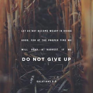 Galatians 6:9 - We must not become tired of doing good. We will receive our harvest of eternal life at the right time if we do not give up.