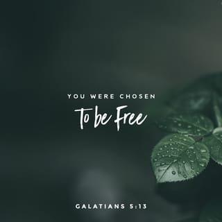 Galatians 5:13 - For ye, brethren, were called for freedom; only use not your freedom for an occasion to the flesh, but through love be servants one to another.