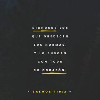 Salmos 119:1-2-24 - Dios, tú bendices
a los que van por buen camino,
a los que de todo corazón
siguen tus enseñanzas.
Ellos no hacen nada malo:
solo a ti te obedecen.
Tú has ordenado
que tus mandamientos
se cumplan al pie de la letra.
Quiero corregir mi conducta
y cumplir tus mandamientos.
Si los cumplo,
no tendré de qué avergonzarme.
Si me enseñas tu palabra,
te alabaré de todo corazón
y seré obediente a tus mandatos.
¡No me abandones!

Solo obedeciendo tu palabra
pueden los jóvenes corregir su vida.
Yo te busco de todo corazón
y llevo tu palabra en mi pensamiento.
Manténme fiel a tus enseñanzas
para no pecar contra ti.
¡Bendito seas, mi Dios!
¡Enséñame a obedecer tus mandatos!
Siempre estoy repitiendo
las enseñanzas que nos diste.
En ellas pongo toda mi atención,
pues me hacen más feliz
que todo el oro del mundo.
Mi mayor placer son tus mandatos;
jamás me olvido de ellos.

Yo estoy a tu servicio;
trátame bien, y cumpliré tus órdenes.
Estoy de paso en este mundo;
dame a conocer tus mandamientos.
¡Ayúdame a entender
tus enseñanzas maravillosas!
Todo el día siento grandes deseos
por conocerlas.
¡Qué lástima me dan
los que no cumplen tus mandamientos!
¡Tú reprendes a esos orgullosos!
No permitas que me desprecien
pues siempre obedezco tus mandatos.
Los poderosos hacen planes contra mí,
pero yo solo pienso en tus enseñanzas.
Ellas me hacen feliz,
y me dan buenos consejos.