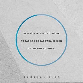 Romanos 8:28 - Sabemos que Dios va preparando todo para el bien de los que lo aman, es decir, de los que él ha llamado de acuerdo con su plan.