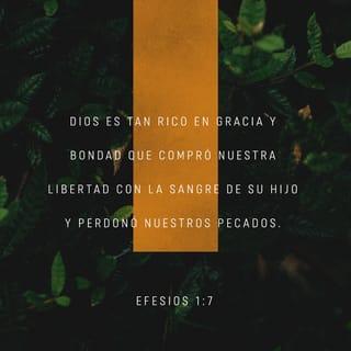 Efesios 1:7-8 - En él tenemos la redención mediante su sangre, el perdón de nuestros pecados, conforme a las riquezas de su gracia la cual Dios nos dio en abundancia con toda sabiduría y entendimiento.