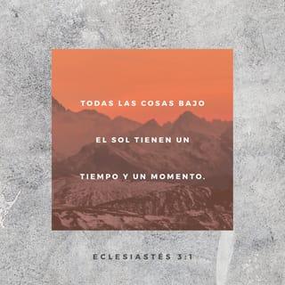 Eclesiastés 3:1 - Todo tiene su tiempo, y todo lo que se quiere debajo del cielo tiene su hora.