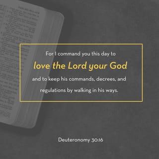 Deuteronomy 30:15-19 - See, I set before you today life and prosperity, death and destruction. For I command you today to love the LORD your God, to walk in obedience to him, and to keep his commands, decrees and laws; then you will live and increase, and the LORD your God will bless you in the land you are entering to possess.
But if your heart turns away and you are not obedient, and if you are drawn away to bow down to other gods and worship them, I declare to you this day that you will certainly be destroyed. You will not live long in the land you are crossing the Jordan to enter and possess.
This day I call the heavens and the earth as witnesses against you that I have set before you life and death, blessings and curses. Now choose life, so that you and your children may live