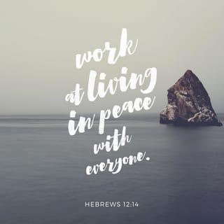 Hebrews 12:14 - Continually pursue peace with everyone, and the sanctification without which no one will [ever] see the Lord.