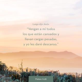 S. Mateo 11:28-30 - Venid a mí todos los que estáis trabajados y cargados, y yo os haré descansar. Llevad mi yugo sobre vosotros, y aprended de mí, que soy manso y humilde de corazón; y hallaréis descanso para vuestras almas; porque mi yugo es fácil, y ligera mi carga.