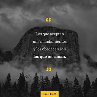 Juan 14:21 - ¿Quién es el que me ama? El que hace suyos mis mandamientos y los obedece. Y al que me ama, mi Padre lo amará; y yo también lo amaré y me manifestaré a él.