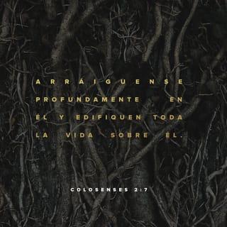 Colosenses 2:7 - con profundas raíces en él, firmemente basados en él por la fe, como se les enseñó, y dando siempre gracias a Dios.