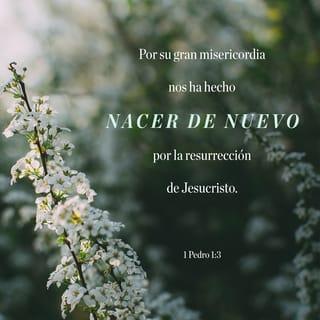 1 Pedro 1:3-4 - Bendito el Dios y Padre de nuestro Señor Jesucristo, que según su grande misericordia nos hizo renacer para una esperanza viva, por la resurrección de Jesucristo de los muertos, para una herencia incorruptible, incontaminada e inmarcesible, reservada en los cielos para vosotros