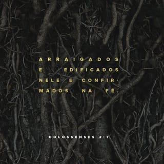 Colossenses 2:6-7 - Portanto, já que vocês aceitaram Cristo Jesus como Senhor, vivam unidos com ele. Estejam enraizados nele, construam a sua vida sobre ele e se tornem mais fortes na fé, como foi ensinado a vocês. E deem sempre graças a Deus.