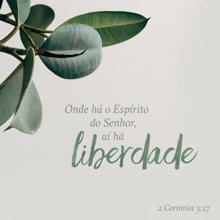 2Coríntios 3:16-18 - Mas o véu pode ser tirado, como dizem as Escrituras Sagradas: “O véu de Moisés foi tirado quando ele se voltou para o Senhor.” Aqui a palavra “Senhor” quer dizer o Espírito. E onde o Espírito do Senhor está presente, aí existe liberdade. Portanto, todos nós, com o rosto descoberto, refletimos a glória que vem do Senhor. Essa glória vai ficando cada vez mais brilhante e vai nos tornando cada vez mais parecidos com o Senhor, que é o Espírito.