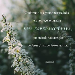 1Pedro 1:3-4 - Bendito seja o Deus e Pai do nosso Senhor Jesus Cristo! Conforme a sua grande misericórdia, ele nos regenerou para uma esperança viva, por meio da ressurreição de Jesus Cristo dentre os mortos, para uma herança que jamais poderá perecer, macular‑se ou desvanecer. Essa herança está guardada nos céus para vocês