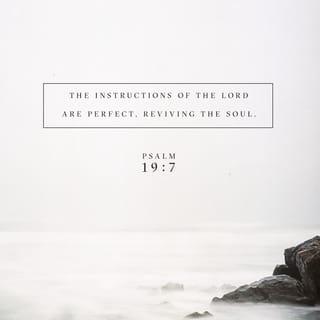 Psalms 19:7-11 - The law of the LORD is perfect, converting the soul;
The testimony of the LORD is sure, making wise the simple;
The statutes of the LORD are right, rejoicing the heart;
The commandment of the LORD is pure, enlightening the eyes;
The fear of the LORD is clean, enduring forever;
The judgments of the LORD are true and righteous altogether.
More to be desired are they than gold,
Yea, than much fine gold;
Sweeter also than honey and the honeycomb.
Moreover by them Your servant is warned,
And in keeping them there is great reward.