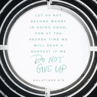 Galatians 6:9 - Let us not grow weary or become discouraged in doing good, for at the proper time we will reap, if we do not give in.