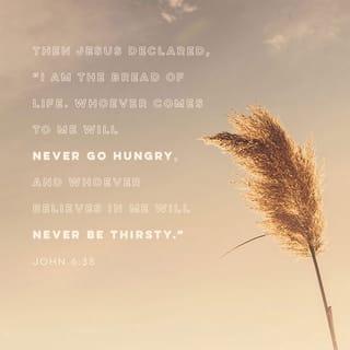 John 6:35 - Jesus replied, “I am the bread of life. Whoever comes to me will never be hungry again. Whoever believes in me will never be thirsty.