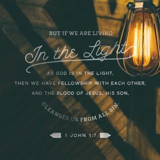 1 John 1:7-9 - But if we walk in the light, as he is in the light, we have fellowship with one another, and the blood of Jesus, his Son, purifies us from all sin.
If we claim to be without sin, we deceive ourselves and the truth is not in us. If we confess our sins, he is faithful and just and will forgive us our sins and purify us from all unrighteousness.