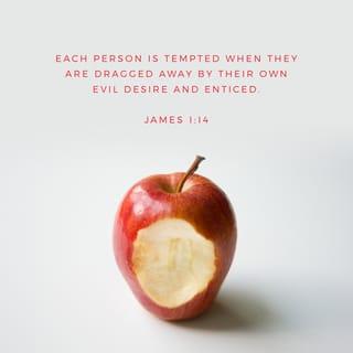 James 1:13-14 - Let no one say when he is tempted, “I am being tempted by God” [for temptation does not originate from God, but from our own flaws]; for God cannot be tempted by [what is] evil, and He Himself tempts no one. But each one is tempted when he is dragged away, enticed and baited [to commit sin] by his own [worldly] desire (lust, passion).