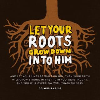 Colossians 2:7 - rooted and built up in him, and stablished in the faith, as ye have been taught, abounding therein with thanksgiving.