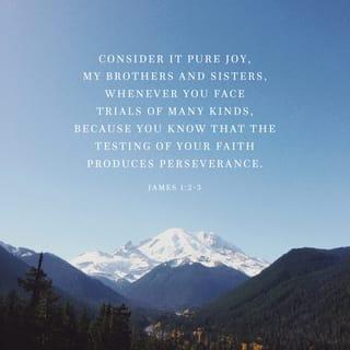 James 1:1-3 - James, a servant of God and of the Lord Jesus Christ,

To the twelve tribes scattered among the nations:

Greetings.

Consider it pure joy, my brothers and sisters, whenever you face trials of many kinds, because you know that the testing of your faith produces perseverance.