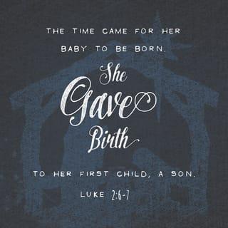 Luke 2:6-7-15-18 - While they were there, the time came for her to give birth. She gave birth to a son, her firstborn. She wrapped him in a blanket and laid him in a manger, because there was no room in the hostel.

There were shepherds camping in the neighborhood. They had set night watches over their sheep. Suddenly, God’s angel stood among them and God’s glory blazed around them. They were terrified. The angel said, “Don’t be afraid. I’m here to announce a great and joyful event that is meant for everybody, worldwide: A Savior has just been born in David’s town, a Savior who is Messiah and Master. This is what you’re to look for: a baby wrapped in a blanket and lying in a manger.”
At once the angel was joined by a huge angelic choir singing God’s praises:

Glory to God in the heavenly heights,
Peace to all men and women on earth who please him.

As the angel choir withdrew into heaven, the shepherds talked it over. “Let’s get over to Bethlehem as fast as we can and see for ourselves what God has revealed to us.” They left, running, and found Mary and Joseph, and the baby lying in the manger. Seeing was believing. They told everyone they met what the angels had said about this child. All who heard the shepherds were impressed.