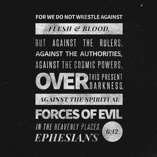 Ephesians 6:12 - For our struggle is not against flesh and blood, but against the rulers, against the authorities, against the powers of this dark world and against the spiritual forces of evil in the heavenly realms.