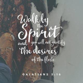 Galatians 5:17 - When your self-life craves the things that offend the Holy Spirit you hinder him from living free within you! And the Holy Spirit’s intense cravings hinder your self-life from dominating you! So then, the two incompatible and conflicting forces within you are your self-life of the flesh and the new creation life of the Spirit.