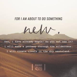 Isaiah 43:19 - For I am about to do something new.
See, I have already begun! Do you not see it?
I will make a pathway through the wilderness.
I will create rivers in the dry wasteland.