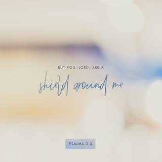 Psalms 3:3-4 - But you, LORD, are a shield around me,
my glory, the One who lifts my head high.
I call out to the LORD,
and he answers me from his holy mountain.