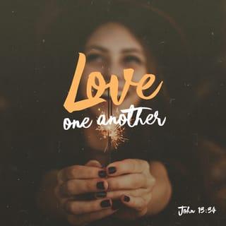 John 13:34-35 - A new commandment I give unto you, that ye love one another; even as I have loved you, that ye also love one another. By this shall all men know that ye are my disciples, if ye have love one to another.