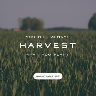 Galatians 6:7 - God will never be mocked! For what you plant will always be the very thing you harvest.