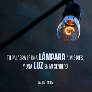 Salmos 119:105 - Lámpara es a mis pies tu palabra,
Y lumbrera a mi camino.