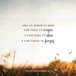 Deuteronomio 6:5-9 - »Ama al Señor tu Dios con todo tu corazón, con toda tu alma y con todas tus fuerzas.
»Grábate en la mente todas las cosas que hoy te he dicho, y enséñaselas continuamente a tus hijos; háblales de ellas, tanto en tu casa como en el camino, y cuando te acuestes y cuando te levantes. Lleva estos mandamientos atados en tu mano y en tu frente como señales, y escríbelos también en los postes y en las puertas de tu casa.