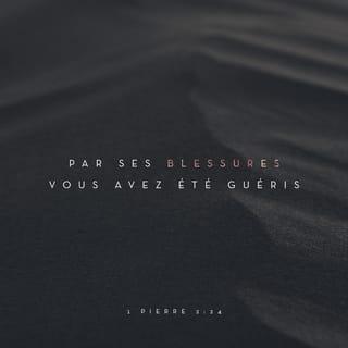 1 Pierre 2:24 - Sur le bois de la croix, il a porté lui-même nos péchés dans son corps. C’est pourquoi nous avons cessé de vivre pour le péché et nous pouvons mener une vie qui plaît à Dieu. C’est par ses blessures qu’il vous a guéris.