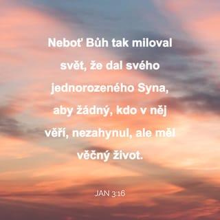 Jan 3:16 - Neboť Bůh tak miloval svět, že dal svého jednorozeného Syna, aby žádný, kdo v něj věří, nezahynul, ale měl věčný život.