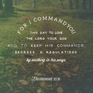 Deuteronomy 30:15-19 - “Now listen! Today I am giving you a choice between life and death, between prosperity and disaster. For I command you this day to love the LORD your God and to keep his commands, decrees, and regulations by walking in his ways. If you do this, you will live and multiply, and the LORD your God will bless you and the land you are about to enter and occupy.
“But if your heart turns away and you refuse to listen, and if you are drawn away to serve and worship other gods, then I warn you now that you will certainly be destroyed. You will not live a long, good life in the land you are crossing the Jordan to occupy.
“Today I have given you the choice between life and death, between blessings and curses. Now I call on heaven and earth to witness the choice you make. Oh, that you would choose life, so that you and your descendants might live!