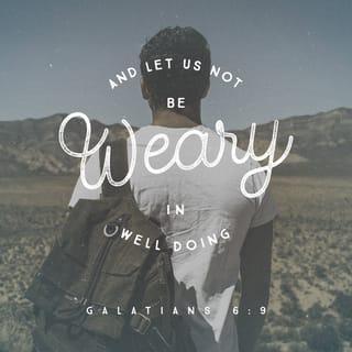 Galatians 6:9 - Let us not grow weary or become discouraged in doing good, for at the proper time we will reap, if we do not give in.