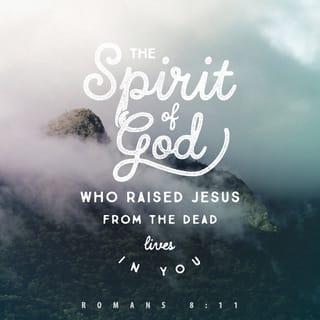 Romans 8:11-16 - And if the Spirit of him who raised Jesus from the dead is living in you, he who raised Christ from the dead will also give life to your mortal bodies because of his Spirit who lives in you.
Therefore, brothers and sisters, we have an obligation—but it is not to the flesh, to live according to it. For if you live according to the flesh, you will die; but if by the Spirit you put to death the misdeeds of the body, you will live.
For those who are led by the Spirit of God are the children of God. The Spirit you received does not make you slaves, so that you live in fear again; rather, the Spirit you received brought about your adoption to sonship. And by him we cry, “ Abba, Father.” The Spirit himself testifies with our spirit that we are God’s children.