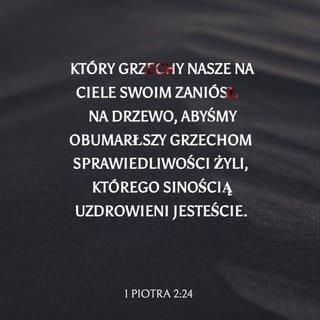 1 Piotra 2:24-25 - On sam w swoim ciele
zaniósł nasze grzechy na krzyż,
abyśmy martwi dla grzechów,
żyli dla sprawiedliwości —
Jego sińcami zostaliście uleczeni .
Byliście bowiem zbłąkani jak owce ,
lecz teraz zawróciliście do Pasterza
i Stróża waszych dusz.