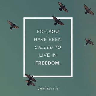 Galatians 5:13 - For, brethren, ye have been called unto liberty; only use not liberty for an occasion to the flesh, but by love serve one another.