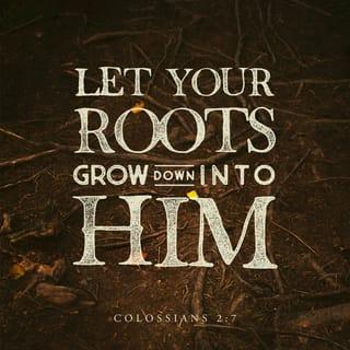 Colossians 2:7 - having been firmly rooted and now being built up in Him and established in your faith, just as you were instructed, and overflowing with gratitude.