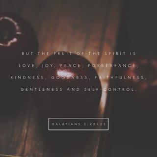 Galatians 5:22-23 - But the fruit of the Spirit is love, joy, peace, forbearance, kindness, goodness, faithfulness, gentleness and self-control. Against such things there is no law.