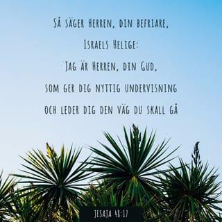 Isaiah 48:17-18 - This is what the LORD says—
your Redeemer, the Holy One of Israel:
“I am the LORD your God,
who teaches you what is best for you,
who directs you in the way you should go.
If only you had paid attention to my commands,
your peace would have been like a river,
your well-being like the waves of the sea.