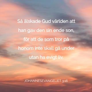 Johannesevangeliet 3:16 - Så älskade Gud världen att han utgav sin enfödde Son, för att var och en som tror på honom inte ska gå förlorad utan ha evigt liv.