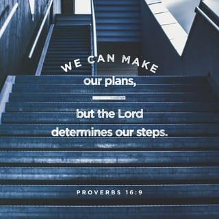 Proverbs 16:9 - In their hearts humans plan their course,
but the LORD establishes their steps.